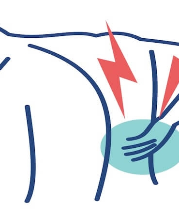 Karda Düşme Sonrası Omurga Kırığı: Kış Aylarında Gizli Tehlike